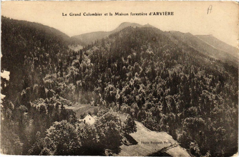 Carte postale ancienne Le Grand Colombier et la Maison forestiere d'Arviere