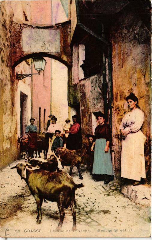 Carte postale ancienne Grasse La Rue de l'Eveche à Grasse