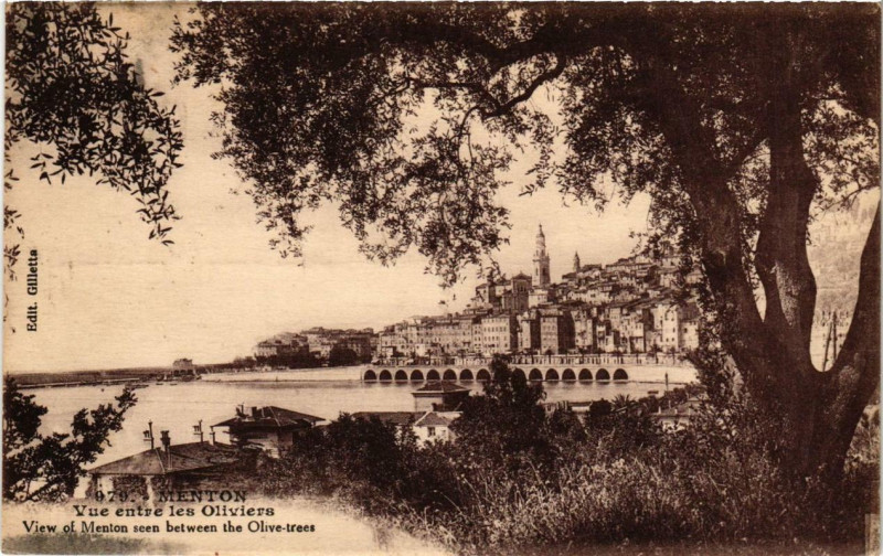 Carte postale ancienne Menton Vue entre les Oliviers à Menton