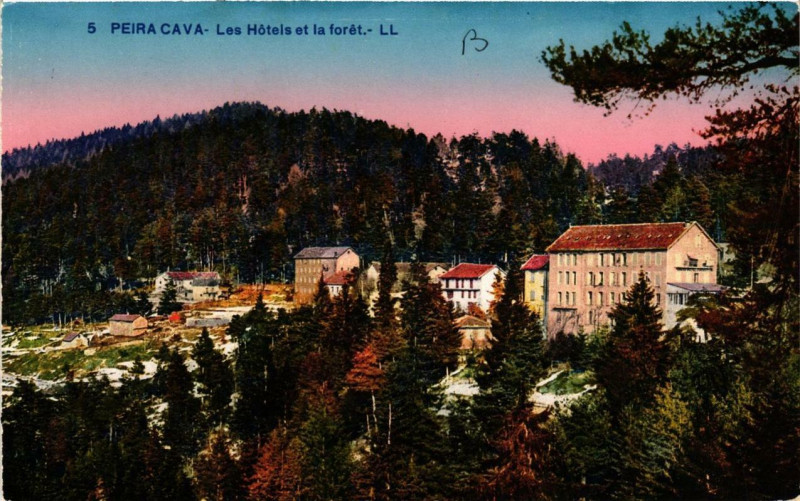 Carte postale ancienne Peira-Cava Les Hotels et la foret