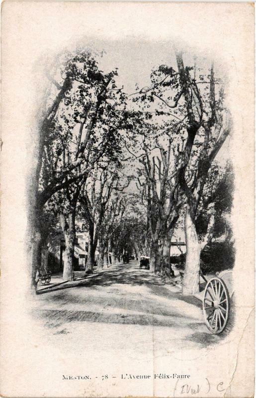 Carte postale ancienne Menton L'Avenue Felix-Faure à Menton