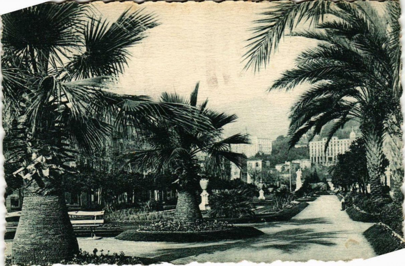 Carte postale ancienne Menton Les Jardins du Carei à Menton