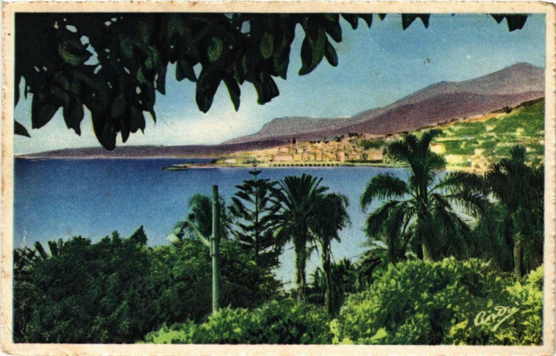 Carte postale ancienne Menton Vu de la Frontiere à Menton