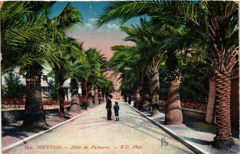 Carte postale ancienne Menton Allée de Palmiers à Menton