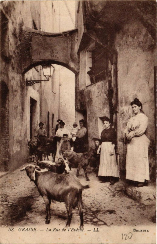Carte postale ancienne Grasse - La Rue de l'Eveche à Grasse