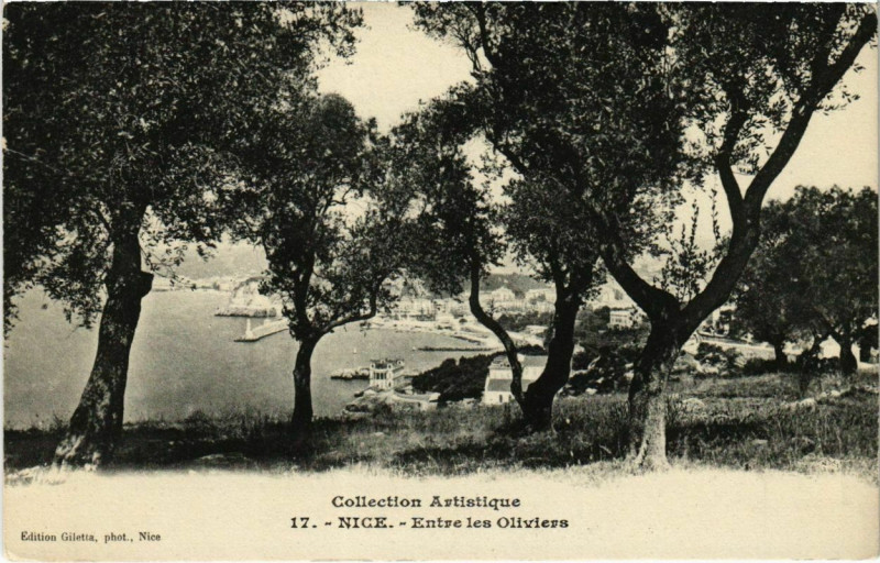 Carte postale ancienne Nice- Entre les Oliviers France à Nice