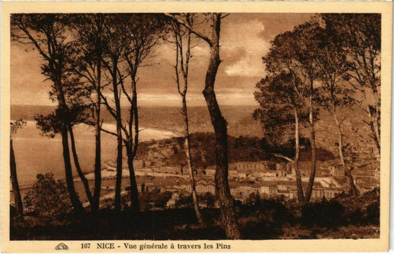 Carte postale ancienne Nice- vue generale a travers les Pins France à Nice