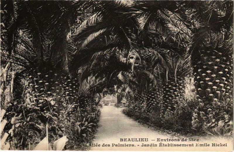 Carte postale ancienne Beaulieu Allée des Palmiers