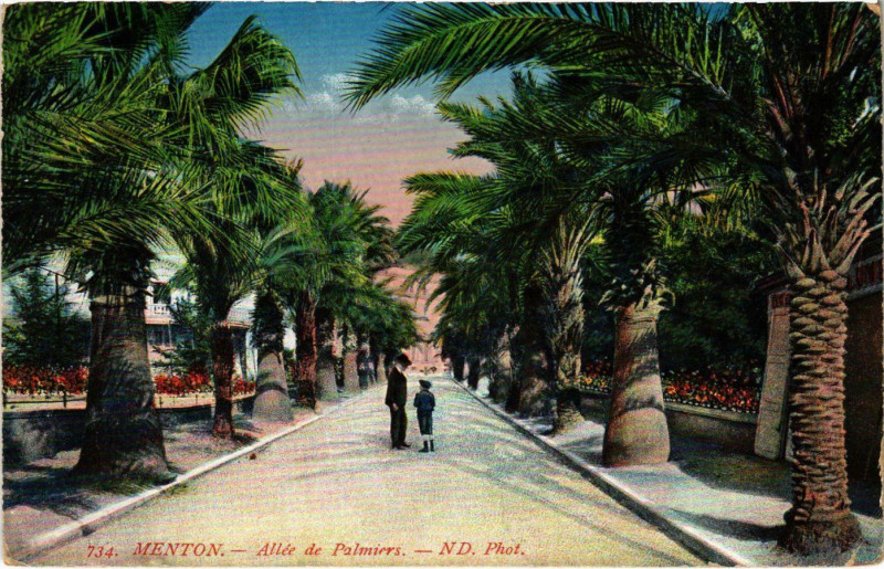Carte postale ancienne Menton Allée de Palmiers à Menton