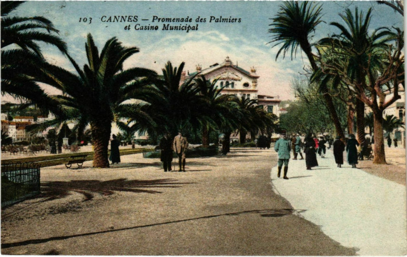 Carte postale ancienne Cannes Promenade des Palmiers à Cannes
