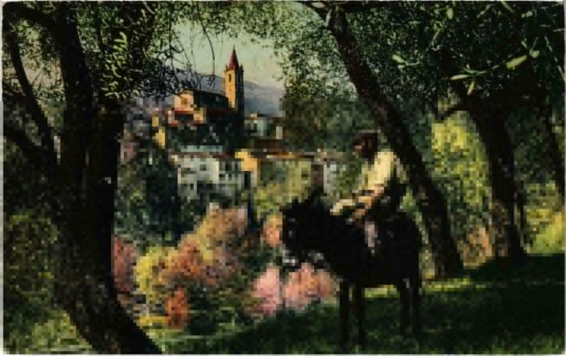 Carte postale ancienne Contés à Contes