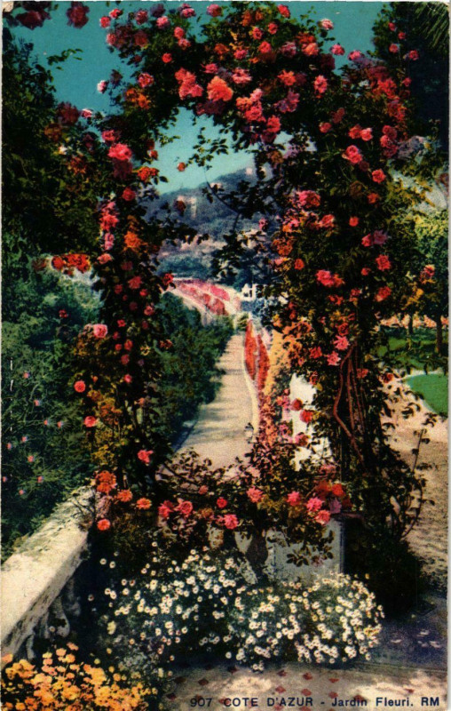 Carte postale ancienne Jardin Fleuri France
