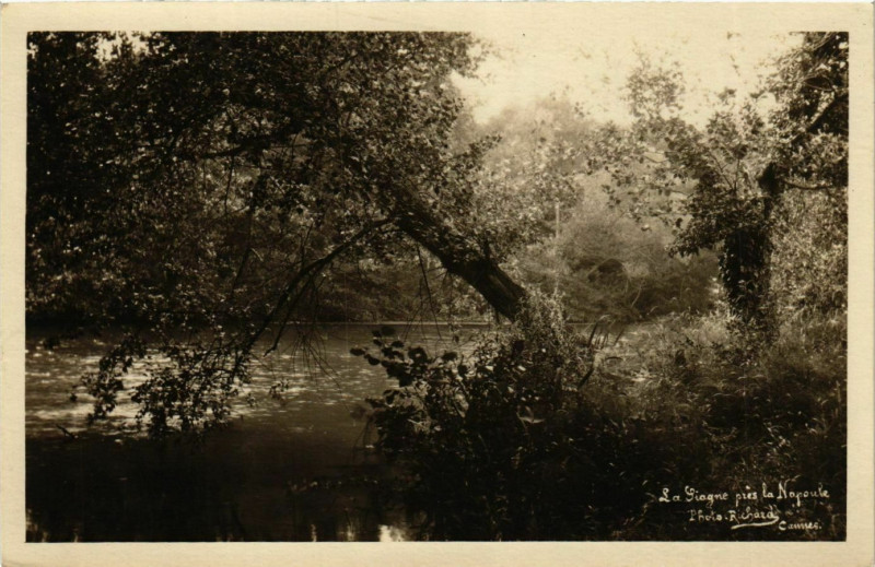 Carte postale ancienne La Ligne France