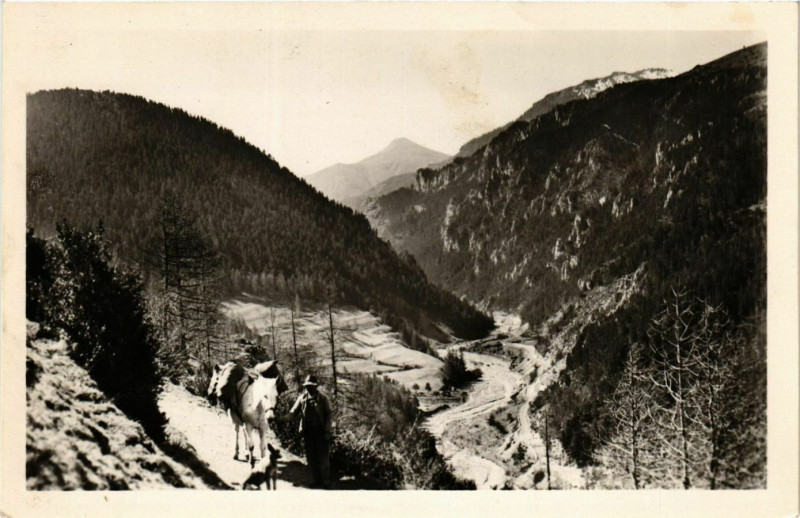 Carte postale ancienne Beuil- Vallee du Cians France à Beuil