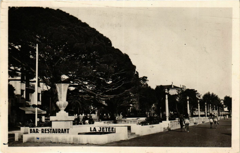 Carte postale ancienne Juan les Pins- La Promenade et le Grand Pin France