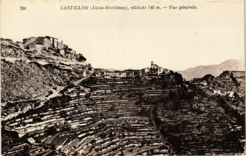 Carte postale ancienne Castillon- vue generale France à Castillon