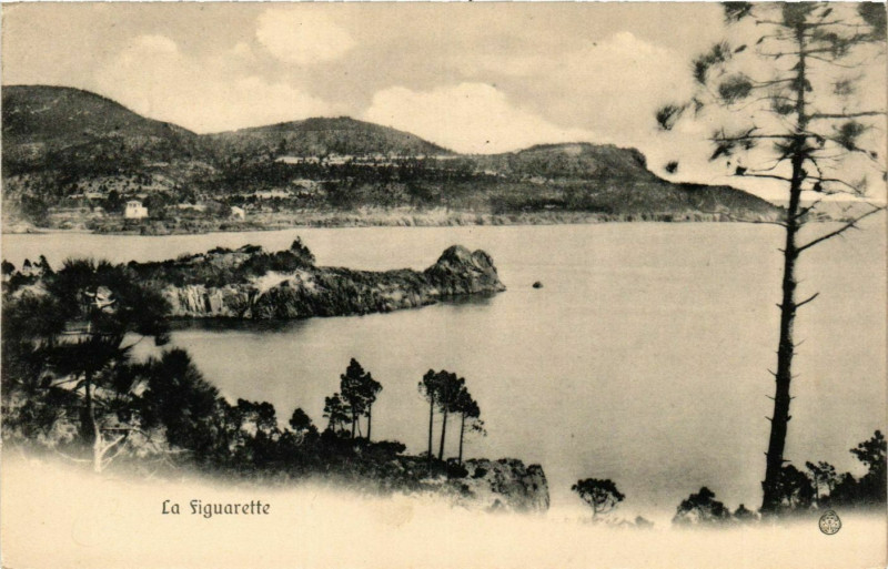 Carte postale ancienne La Figuarette France