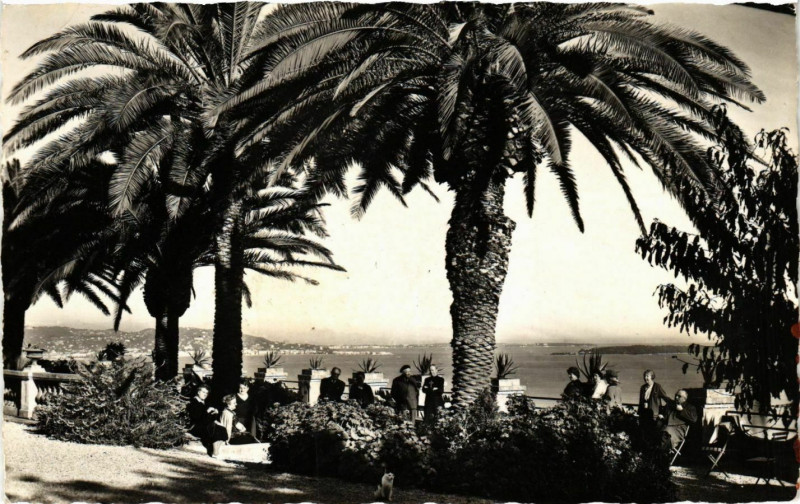 Carte postale ancienne Theoule- La Terrasse,vue sur Cannes et les iles France à Cannes