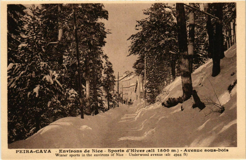 Carte postale ancienne Peira Cava- Sports d'Hiver ,Ave. Sous Bois France