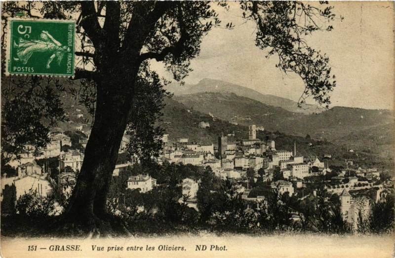 Carte postale ancienne Grasse- vue prise entre les Oliviers France à Grasse