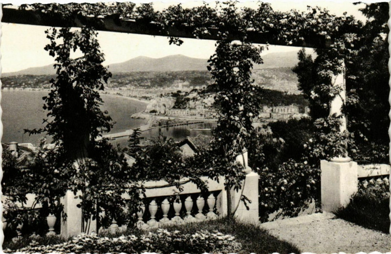 Carte postale ancienne Nice- vue prise entra les pergolas fleuries France à Nice