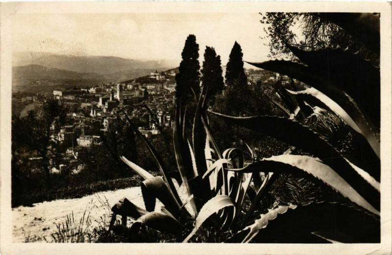 Carte postale ancienne Grasse- Cite des Fleurs, Ses plantes exotiques France à Grasse
