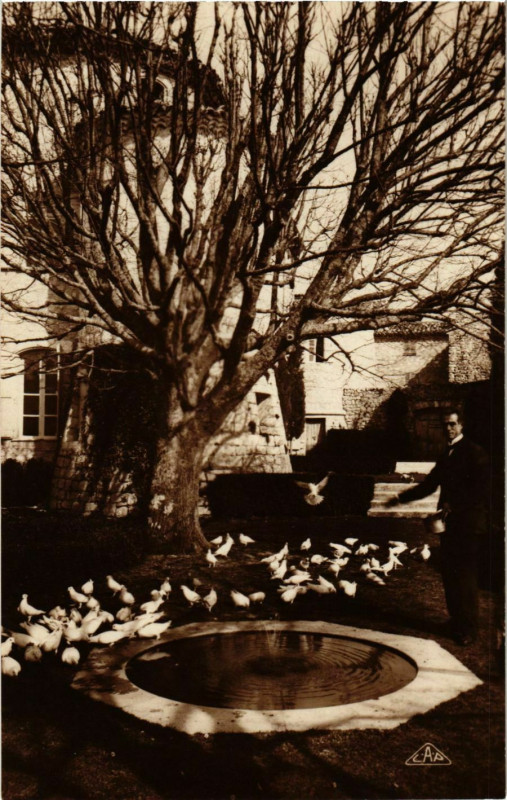 Carte postale ancienne Gourdon- Le Chateau,Le Pelouse France à Gourdon
