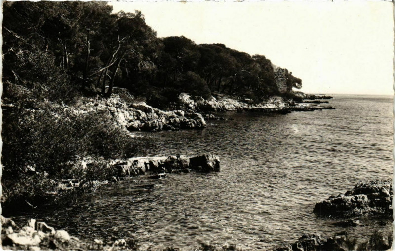 Carte postale ancienne Cannes- Ile Ste Marguerite ,Bord de Mer France à Cannes