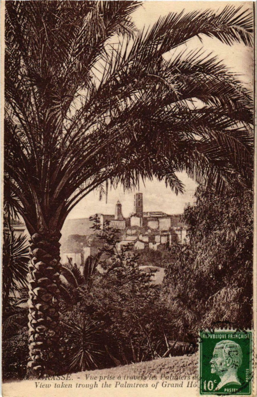 Carte postale ancienne Grasse- vue prise a travers les Palmiers France à Grasse