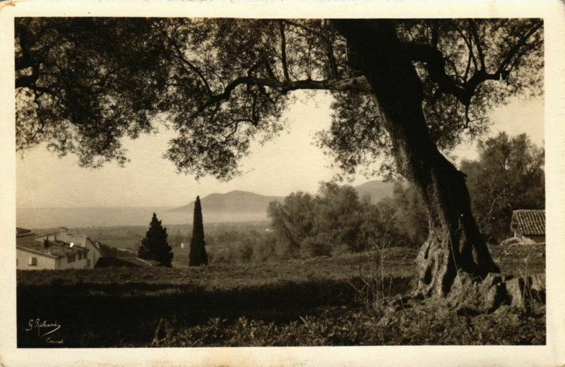 Carte postale ancienne Cannes- France à Cannes