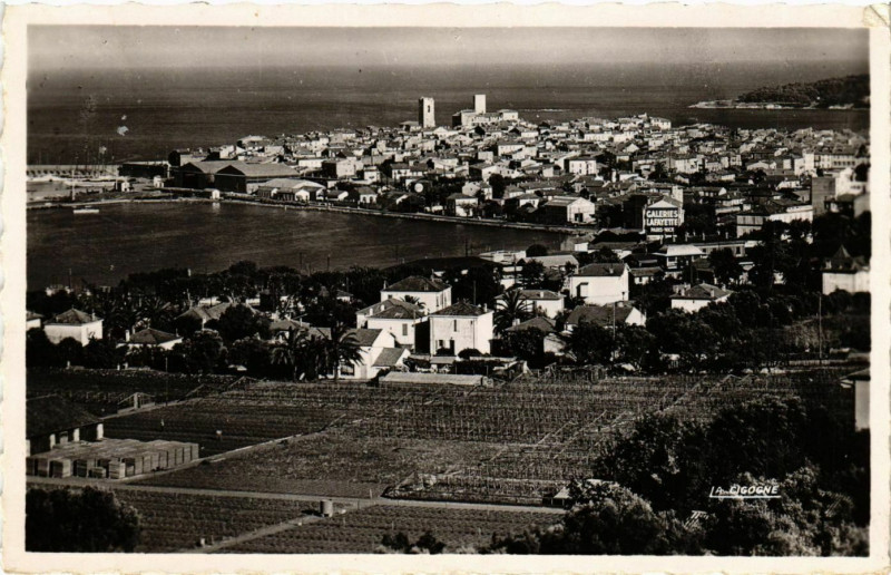 Carte postale ancienne Antibes- Vue generale ,Les Tours Sarrazines France à Antibes
