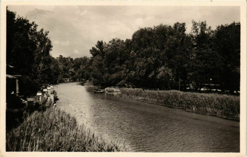 Carte postale ancienne Cagnes sur Mer- Les Bouches du Loup France à Cagnes-sur-Mer
