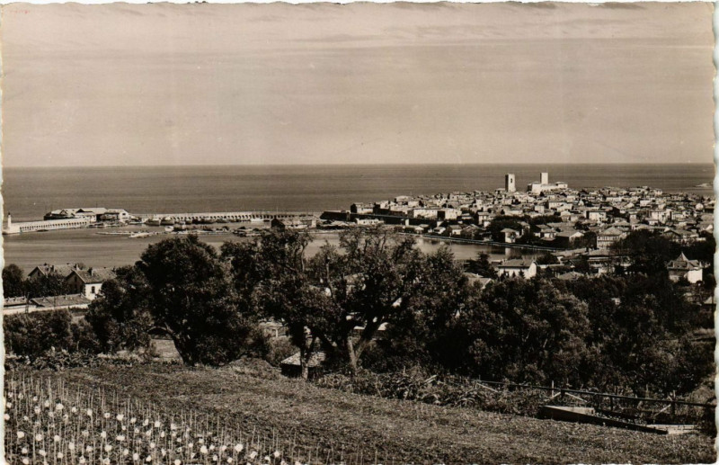 Carte postale ancienne Antibes- Vue sur la ville et le port France à Antibes