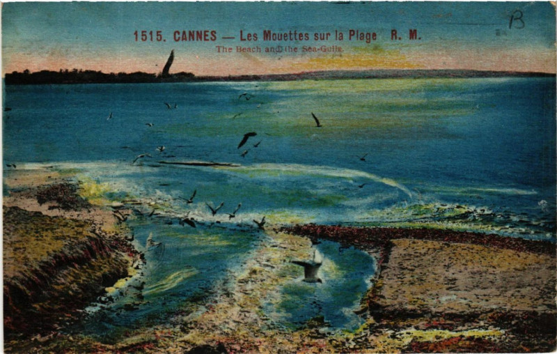 Carte postale ancienne Cannes - Les Mouettes sur la Plage à Cannes