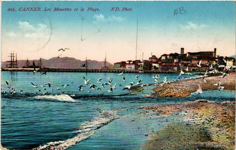 Carte postale ancienne Cannes - Les Mouettes et la Plage à Cannes