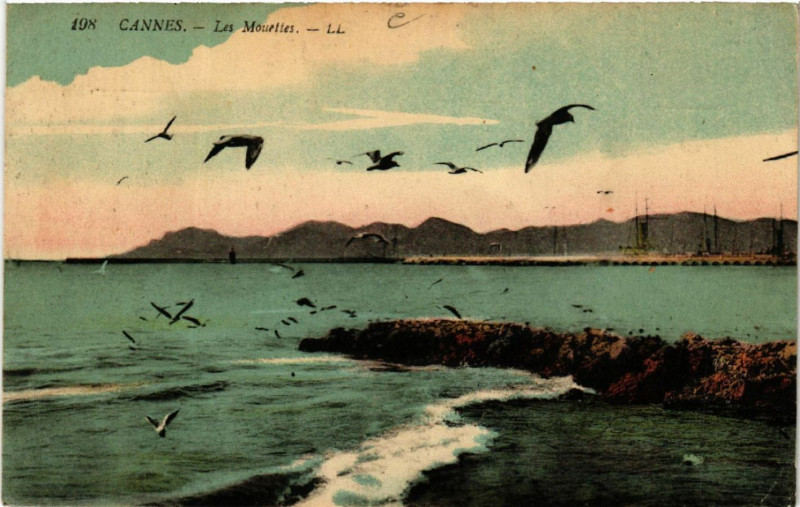 Carte postale ancienne Cannes - Les Mouettes à Cannes