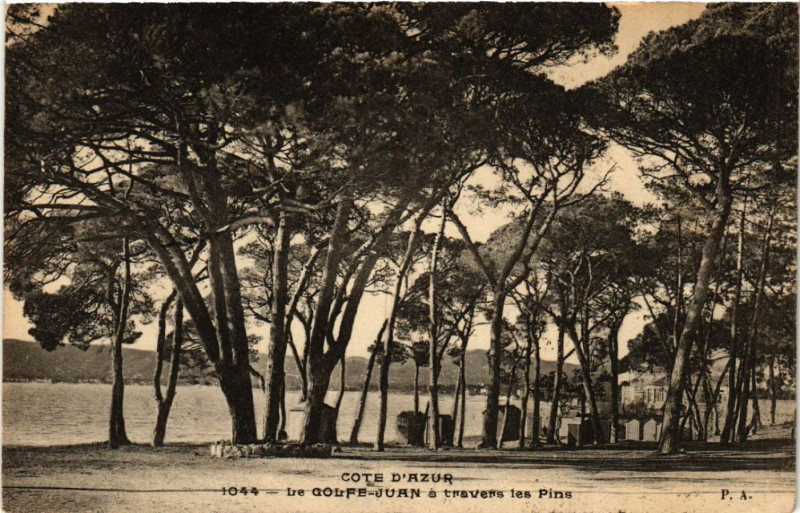 Carte postale ancienne Cote d'Azur - Le Golfe-Juan a travers les Pins