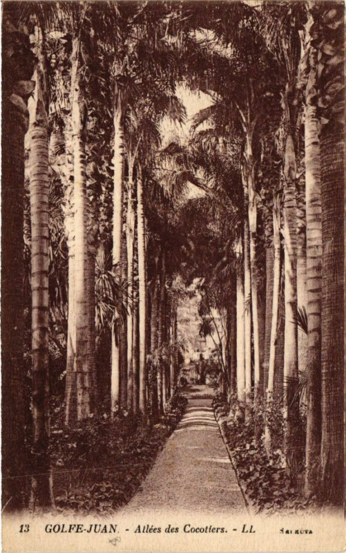 Carte postale ancienne Golfe-Juan - Allées des Cocotiers