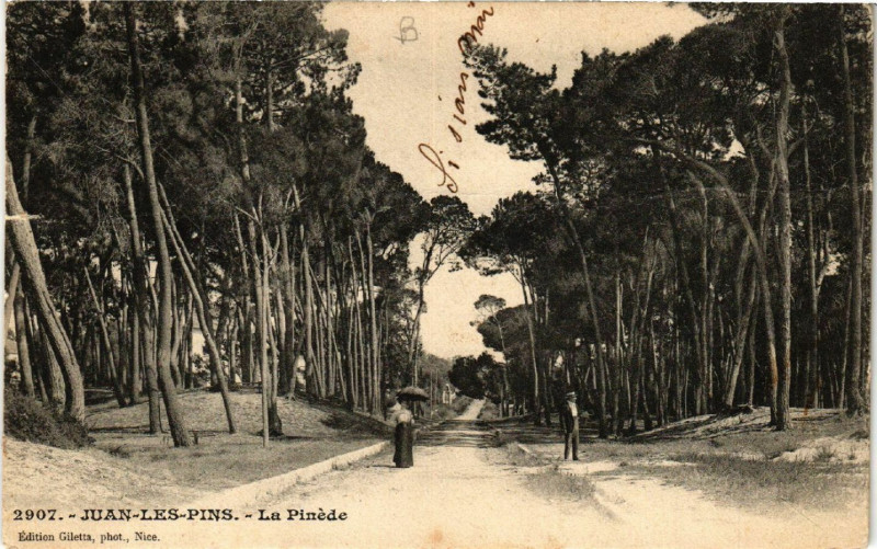 Carte postale ancienne Juan-les-Pins - La Pinéde