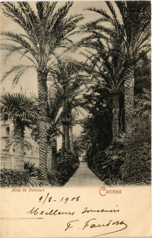 Carte postale ancienne Allée de Palmiers - Cannes à Cannes