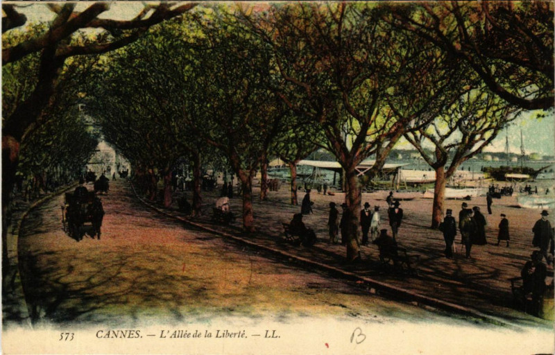 Carte postale ancienne Cannes - L'Allée de la Liberté à Cannes