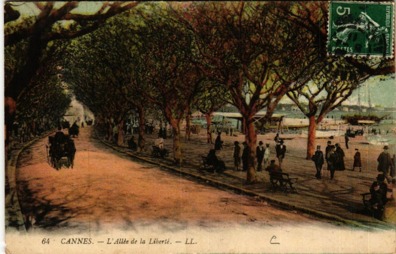 Carte postale ancienne Cannes - L'Allée de la Liberté à Cannes
