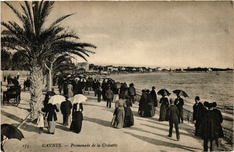 Carte postale ancienne Cannes - Promenade de la Croisette à Cannes