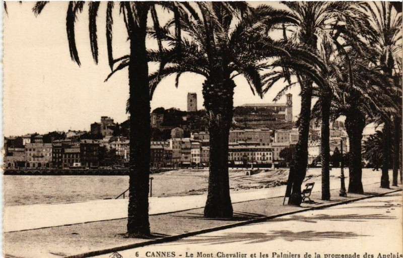 Carte postale ancienne Cannes - Le Mont Chevalier et les Palmiers de la promenade des... à Cannes