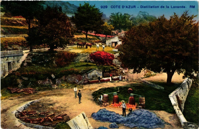 Carte postale ancienne Cote d'Azur - Distillation de la Lavande