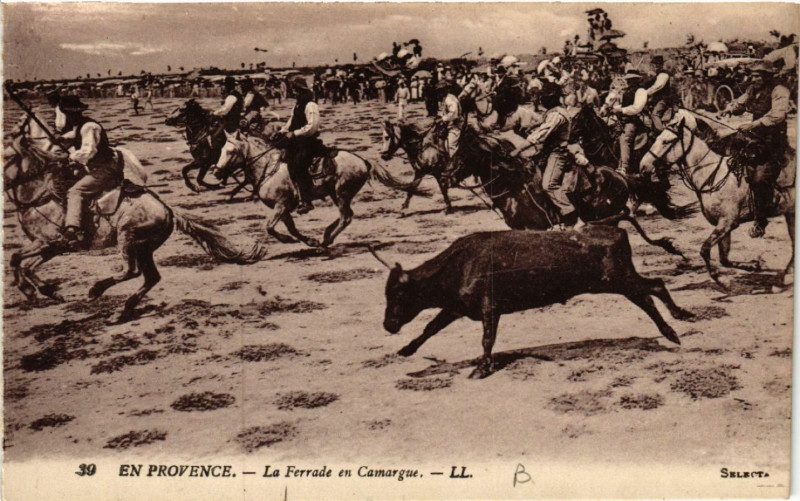 Carte postale ancienne En Provence - Le Ferrade en Camargue à Vence