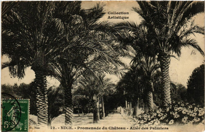 Carte postale ancienne Nice - Promenade du Chateau - Allée des Palmiers à Nice