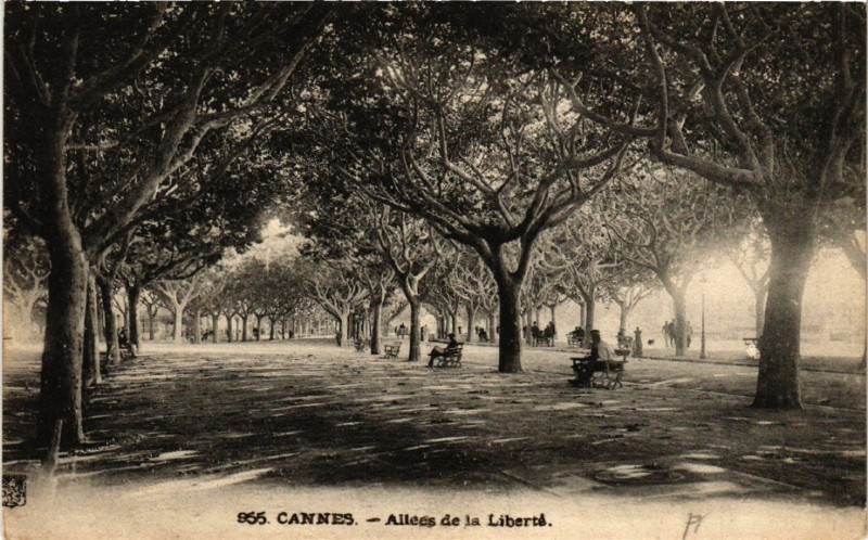 Carte postale ancienne Cannes - Allées de la Liberté à Cannes