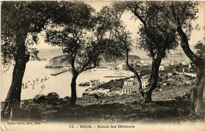 Carte postale ancienne Nice - Entrée les Oliviers à Nice