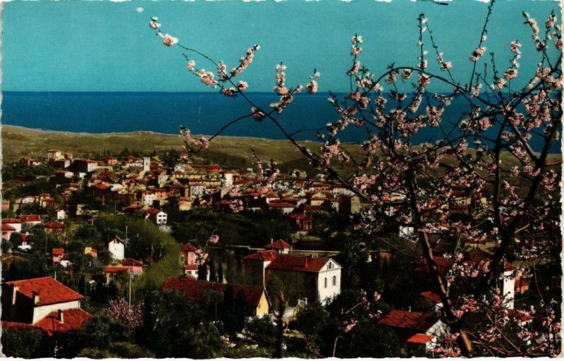 Carte postale ancienne Vence - Vue générale - Au fond la Méditerranée à Vence